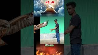 aharon aharon Islamic video shortvideo trending tiktok [upl. by Anoval]