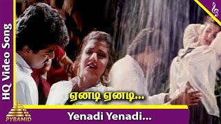 Yenadi Yenadi Video Song  Raasi Movie Songs  Ajith  Rambha  Hariharan  Sirpy  Pyramid Music [upl. by Aettam]