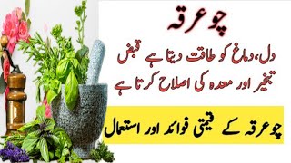 Chuarqa ke Fayde Chuarqa Benefits In Urdu Effective For Digestiv System in hindi [upl. by Shayna276]