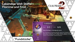 Fundstücke  Erfolg  Guild Wars 2 Lebendige Welt Staffel 1 Episode 1 [upl. by Jola970]