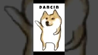 Doge  Dance Till your dead [upl. by Sabas854]