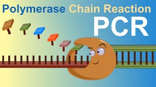 PCR  Polymerase Chain Reaction IQOGCSIC [upl. by Ekoorb995]