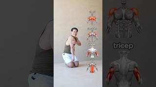 📌UPPER BODY AT HOME  4 Bodyweight Exercises👌 [upl. by Lerrud927]