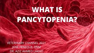 Pancytopenia  A Quick Review For The Veterinary Student [upl. by Asselem715]