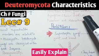 Deuteromycota Characteristics And Its Life Cycle In Urdu Hindi  Deuteromycetes [upl. by Ahserb177]