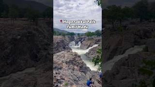 Karvaan Travels  Hogenakkal Waterfalls  Trip 4 placesnearbangalore womensonlytrip [upl. by Nodyarg]