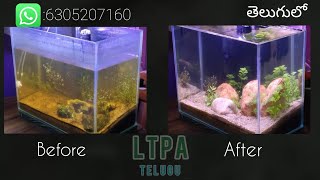 planted aquarium setup in teluguno CO2 no ferts no aqua soilDirted planted aquarium [upl. by Hsizan949]