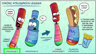 للأطباء chronic myeloid leukemia [upl. by Creedon564]