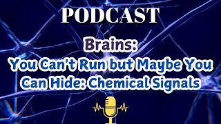 Brain You Cant Run but Maybe You Can Hide Chemical Signals [upl. by Ettenyar]