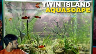 HOW TO MAKE A PLANTED AQUARIUM  LIVE PLANTS  AQUASCAPE [upl. by Kenon]