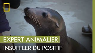 Cette otarie nécoute pas les indications de sa soigneuse  UNE SAISON AU ZOO [upl. by Ulick421]