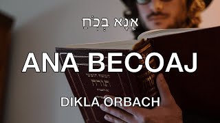 ANA BECOAJ SUBTITULOS ESPAÑOL HEBREO FONETICA DIKLA ORBACH [upl. by Dnomrej13]