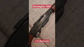 Remington 7600 in 270 Winchester gun pumpaction Sauen Drückjagd hunting Remington 270 [upl. by Yecniuq]