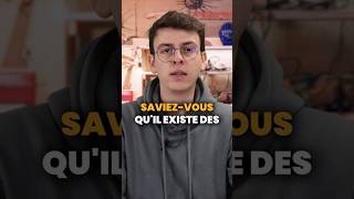 Découvrez les différentes couleurs des panneaux solaires panneauxsolaires autoconsommation diy [upl. by Dewees]