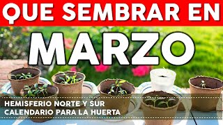 Calendario de Siembra 2022 Que sembrar en Marzo en el Huerto de Primavera y de Otoño [upl. by Derraj913]