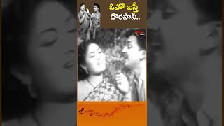 ఓహో బస్తీ దొరసానీ Oho Basti Dorasani Song  Abhimanam Movie Famous Song Shorts Youtubeshorts [upl. by Naltiak]