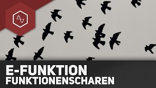 Funktionsscharen bei eFunktionen [upl. by Lidda]