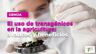 El uso de transgénicos en la agricultura avances y beneficios [upl. by Filippo646]