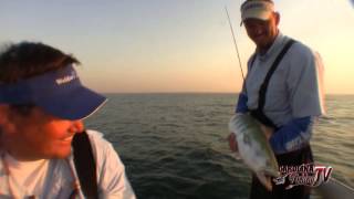 Carolina Fishing TV  Season 33  Late Spring Bonito amp Flounder [upl. by Nies176]