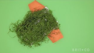 How to DIY a Chia Pet Dog Costume [upl. by Ahsiugal512]