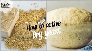 Best way to active dry instant yeast  How to test if dry yeast is alive short [upl. by Aviv]