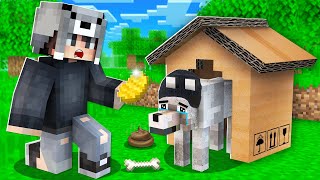 EVSİZ FAKİR KÖPEĞİ SAHİPLENDİM 🐶  Minecraft [upl. by Kerekes]