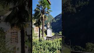 TICINO SWITZERLAND TRAVEL SHORTS YTSHORTS [upl. by Audras241]