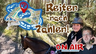 Reiten nach Zahlen  Kameramann ON AIR direkt vom Pferd 45 Reitwege der Reihe nach im Test [upl. by Ymij124]