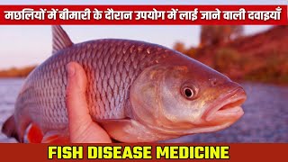 How To Use Fish Medicine  Fish Diseases and Treatment  Fish Farming [upl. by Ravens216]