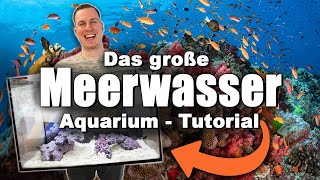 Das Meerwasseraquarium TUTORIAL  Keine Ahnung Kein Problem LOWBUDGET  Nachhaltig [upl. by Matthiew]