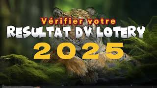 DV Lottery 2025  Comment Vérifier Vos Résultats  Guide Complet [upl. by Jamin]