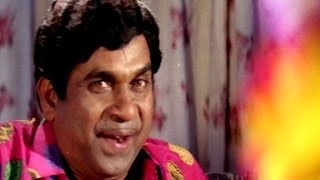 Pedarayudu Movie  Brahmanandam Pellichupulu Very Funny Comedy Scene [upl. by Larina458]