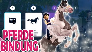 PFERDEBINDUNG 💕  neues LEVELSYSTEM 🐴 Star Stable Online [upl. by Emelina114]