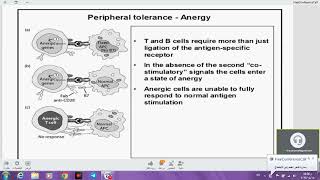 مايكرو نظري مناعة لكجر 8  IMMUNOLOGICAL TOLERANCE AND AUTOIMMUNITY  دسوزان [upl. by Stedman]