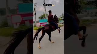 Horse riding video 🐎shortsfeed horseriding horse hyderabadhorse browsefeatures trendingshorts [upl. by Erena333]