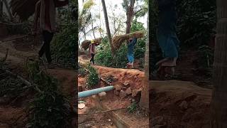 Field FactoryBroomstick Processing viral shortsfeed ytshorts shorts farmya RythuBadi [upl. by Acinot166]