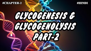 Chapter 2  Metabolism Of Carbohydrates Part9  Glycogenesis amp Glycogenolysis 2 [upl. by Leatrice]