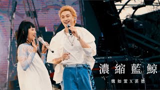 魏如萱 waa wei X 裘德 Jude Chiu《濃縮藍鯨》Live｜阿那亞蝦米音樂節 [upl. by Ashbaugh]