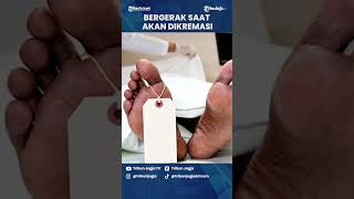 Bergerak Saat Akan Dikremasi [upl. by Yesrod]