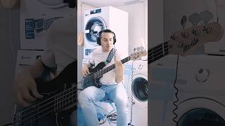 Quick amp Dirty  Bass Jam 🧺 [upl. by Jereme]