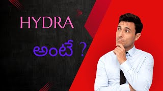 detailed explanation about hydra  HYDRA  HYDRA DEMOLITION  REUSED CONTENT IS FIXED [upl. by Aissatsana]