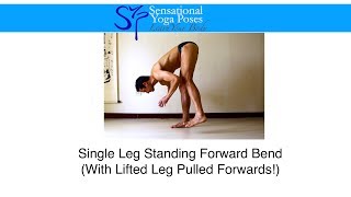 Single Leg Standing Forward Bend [upl. by Gnah]