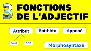 Attribut Epithète Apposé Fonctions de ladjectif  Morphosyntaxe [upl. by Rodl]