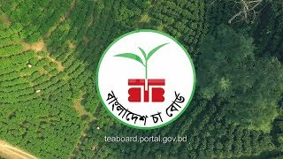 BANGABADHU amp BANGLADESH TEA BOARD [upl. by Loni78]