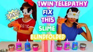 FIX THIS SLIME BLINDFOLDED TWIN TELEPATHY SLIME CHALLENGE TIMED [upl. by Reginald83]