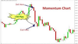 Creating Momentum Chart in MSExcel [upl. by Eedissac]