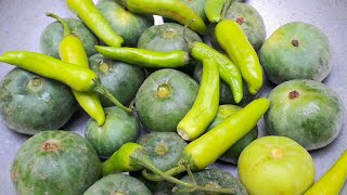 Tinda Curry Tinday ki sabzi Simple amp easy cooking recipe [upl. by Nanny]