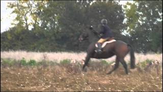 Waveney Harriers chase Hares  Saturday 24th October 2015 [upl. by Anahsor]