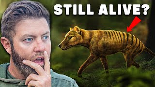 Why I Believe The Tasmanian Tiger Is Still Alive [upl. by Hamer]