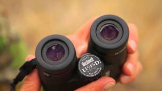 Product Review Bushnells Legend Binocular [upl. by Treiber790]